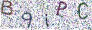 图形验证