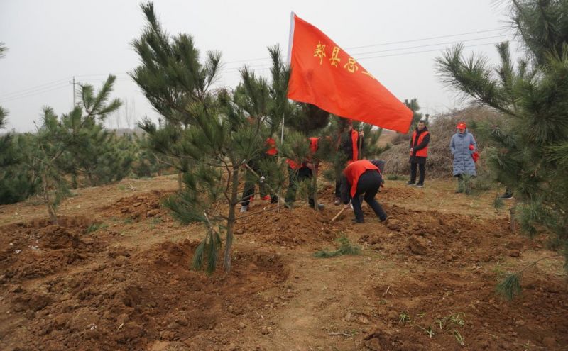 组织开展“国土绿化我们在行动”义务植树活动