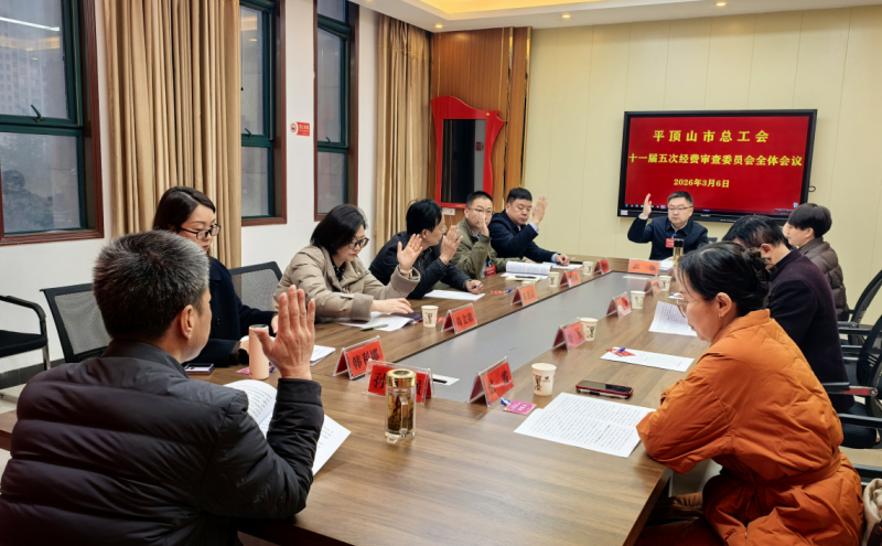 经审委员举手表决审议通过