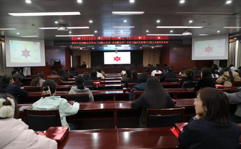 国网叶县供电公司开展2026年女职工知识讲座暨DIY手工梳子制作活动