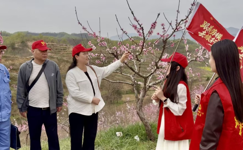 桃花基地现场照片