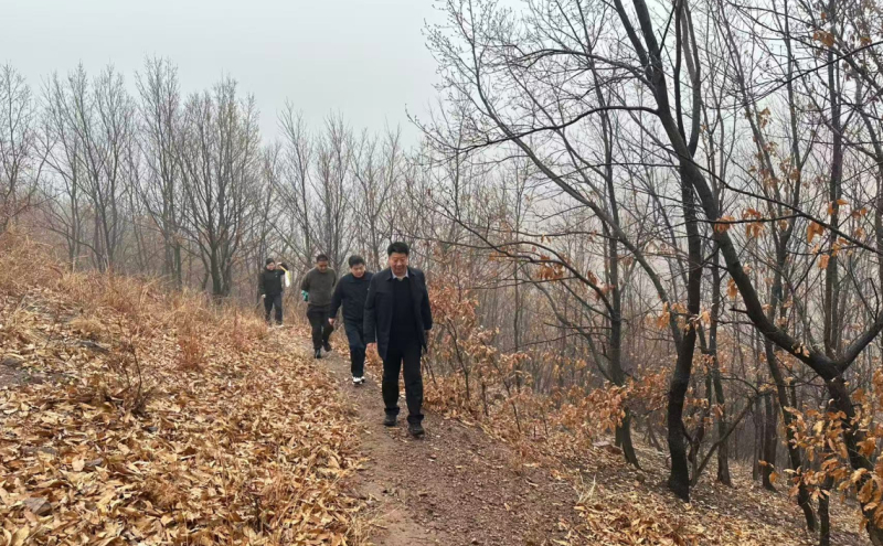 青山漫步 定格美好