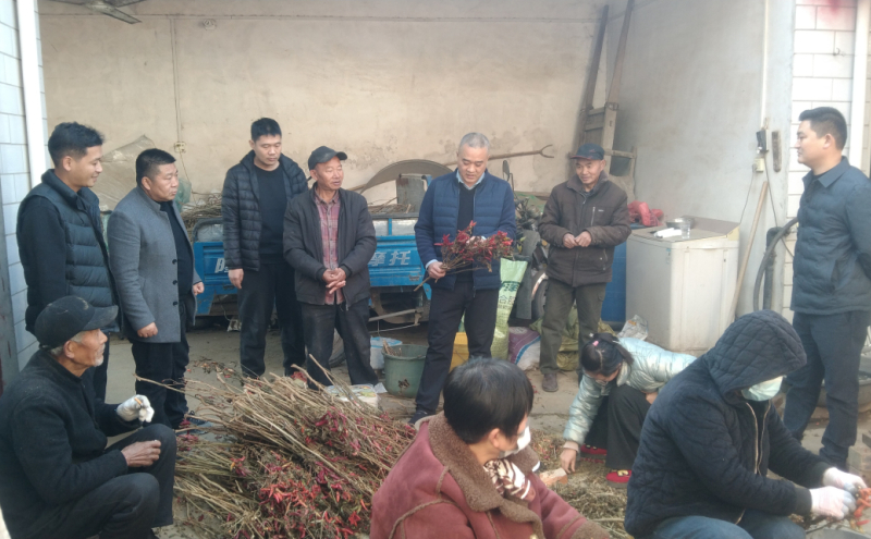 派驻李口镇闫集村驻村第一书记付亚鹏