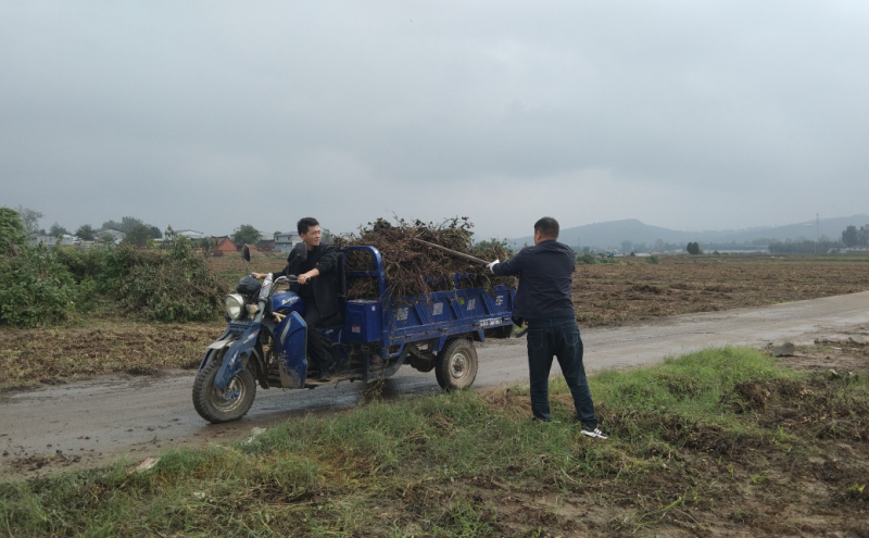 派驻李口镇闫集村驻村第一书记付亚鹏