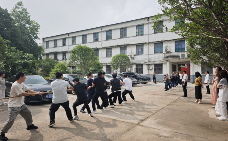 拔河赛场