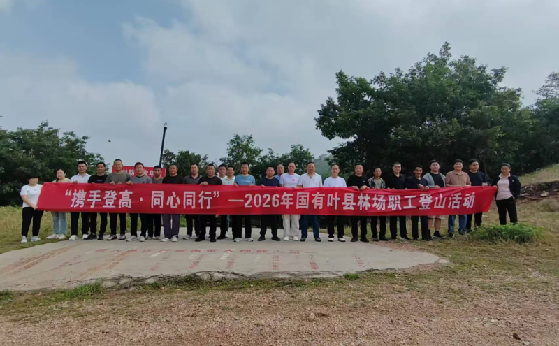 叶县林场 2026 年春季职工登山比赛圆满举行