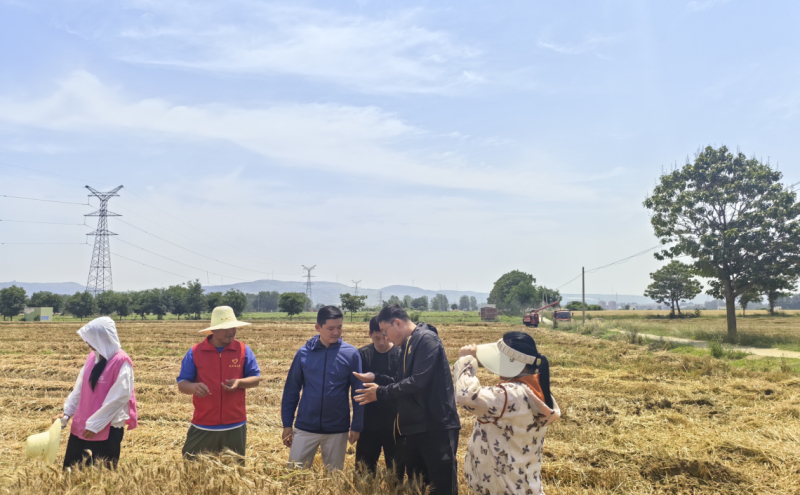 郏县总工会：助农抢收暖人心 践行宗旨显担当
