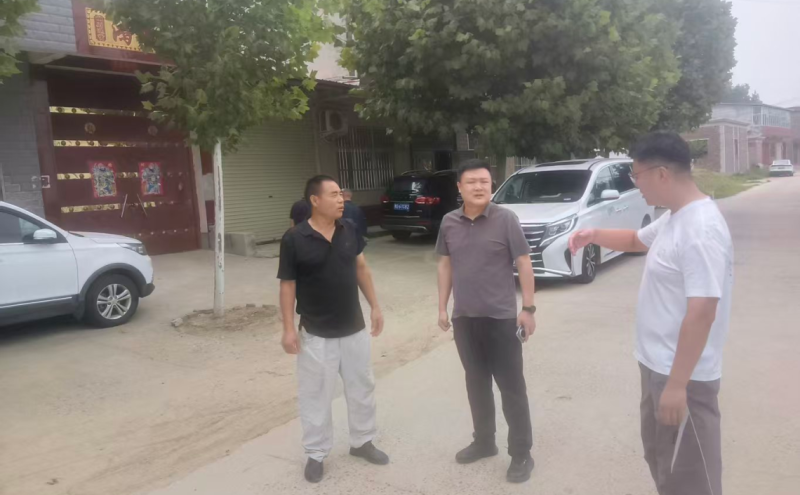 市总工会四级调研员李中央查看黄庵村照明工程的路灯安装情况